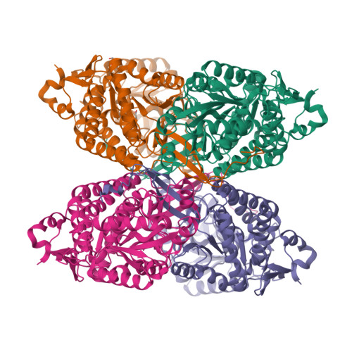 RCSB PDB 6O4F Structure Of ALDH7A1 Mutant N167S Complexed With Alpha