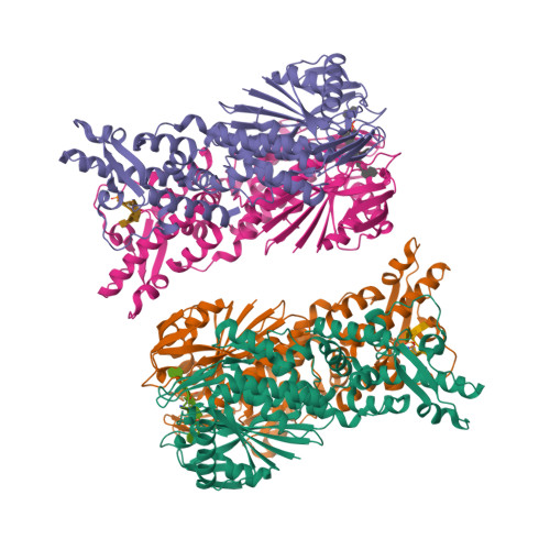 Rcsb Pdb Ov Crystal Structure Of Csm In Complex With A P By