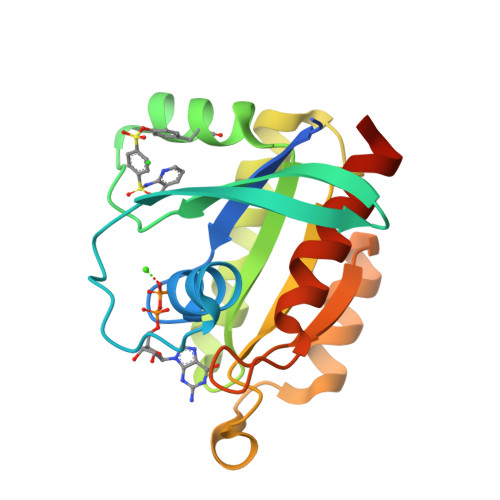 RCSB PDB 6P0M Crystal Structure Of GDP Bound Human RalA In A