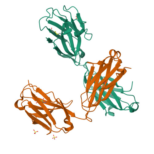 RCSB PDB 6QKD CRYSTAL STRUCTURE OF Vhh Based FAB Fragment Of