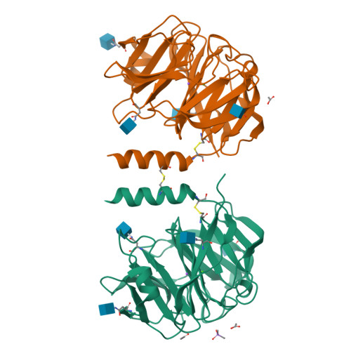 Rcsb Pdb Qm Crystal Structure Of A Calcium And Sodium Bound Mouse