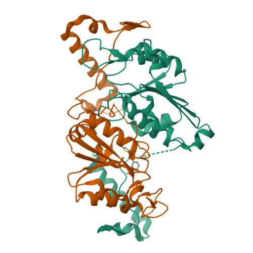 Rcsb Pdb Qoe Crystal Structure Of Trmd A Trna N G