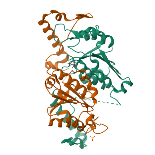 Rcsb Pdb Qor Crystal Structure Of Trmd A Trna N G