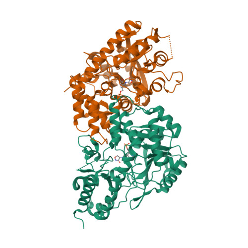 Rcsb Pdb Qp Crystal Structure Of The Plp Bound C S Lyase In The