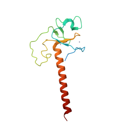 RCSB PDB 6TLX Crystal Structure Of The Unconventional Kinetochore