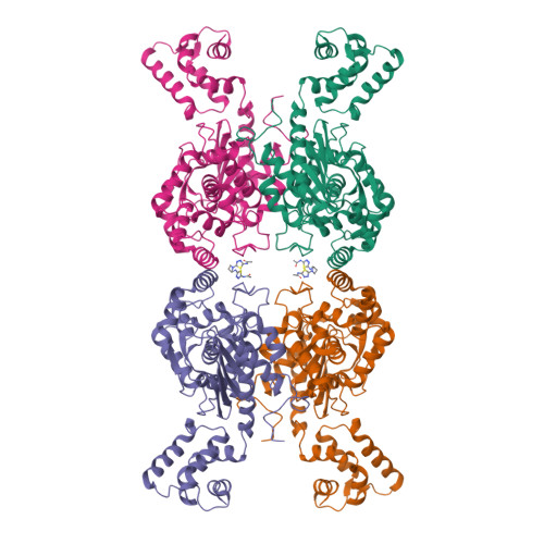 RCSB PDB 6UJM Crystal Structure Of Human GAC In Complex With