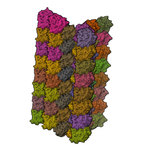 RCSB PDB 6VE7 The Inner Junction Complex Of Chlamydomonas