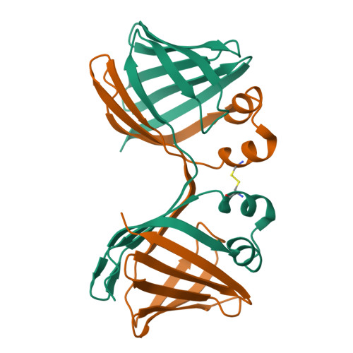 RCSB PDB 6VIT The Crystal Structure Of Apo Domain Swapped Dimer