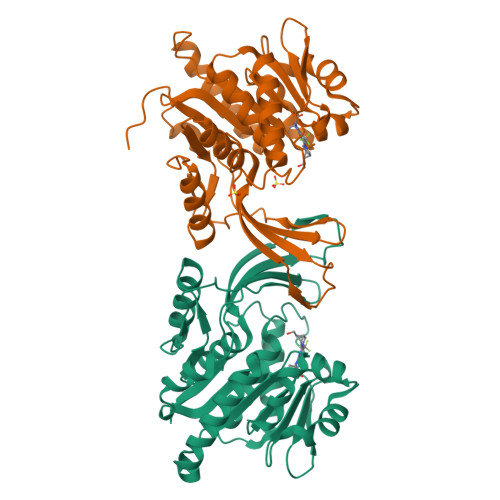 RCSB PDB 6W0X Structure Of KHK In Complex With Compound 4 6 1 S