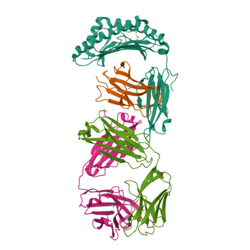 Rcsb Pdb W Structure Of The Antibody Fragment H In Complex With