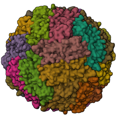 Rcsb Pdb Wx Cryo Em Structure Of Human Apoferritin Light Chain