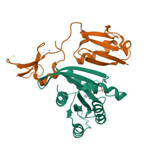 RCSB PDB 6XI7 Crystal Structure Of Wild Type KRAS GMPPNP Bound In