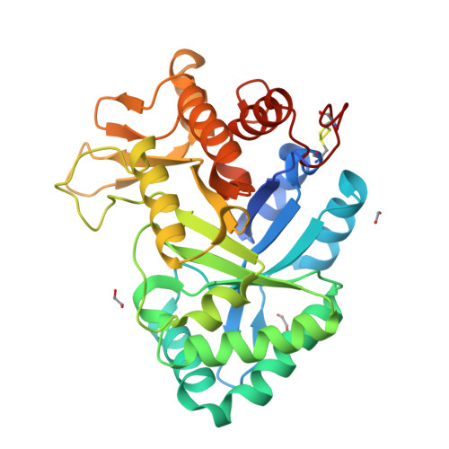 RCSB PDB 6XYZ Crystal Structure Of The GH18 Chitinase ChiB From The