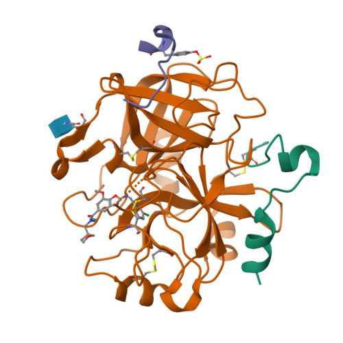 RCSB PDB 6ZUG Crystal Structure Of Thrombin In Complex With Compound10