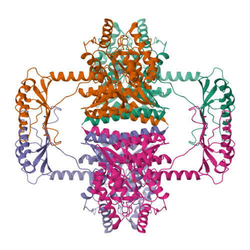 RCSB PDB 6ZVP Atomic Model Of The EM Based Structure Of The Full