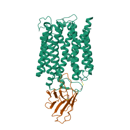 Rcsb Pdb Bc Cryo Em Structure Of The Outward Open Proton Coupled