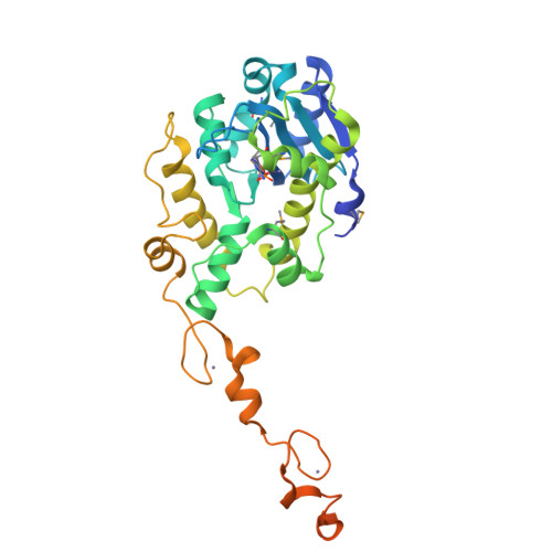 Rcsb Pdb C The Crystal Structure Of Trypanosoma Brucei Rnase D