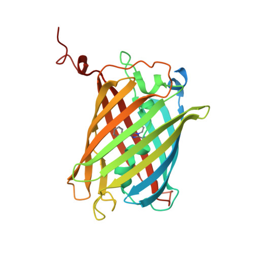 Rcsb Pdb Cao Crystal Structure Of Red Chromoprotein From Olindias