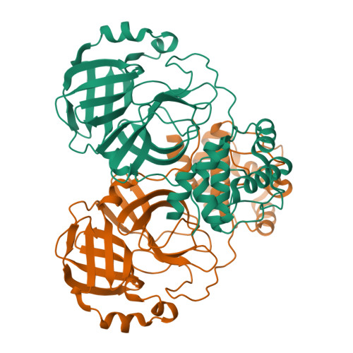 Rcsb Pdb Dav The Native Crystal Structure Of Covid Main Protease