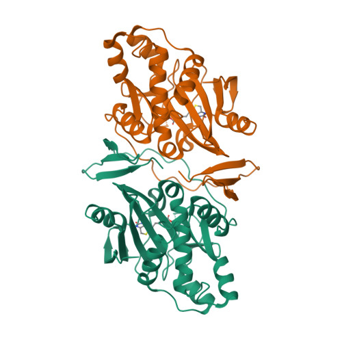 RCSB PDB 7DBS Crystal Structure Of Biotin Protein Ligase From