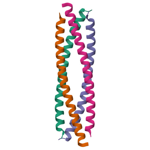 Rcsb Pdb Dgx Structure Of Coiled Coil Domain Of Trypanosoma Brucei