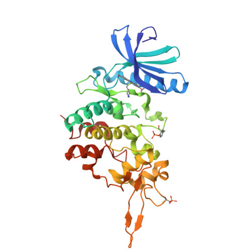 RCSB PDB 7DHO The Co Crystal Structure Of DYRK2 With A Small