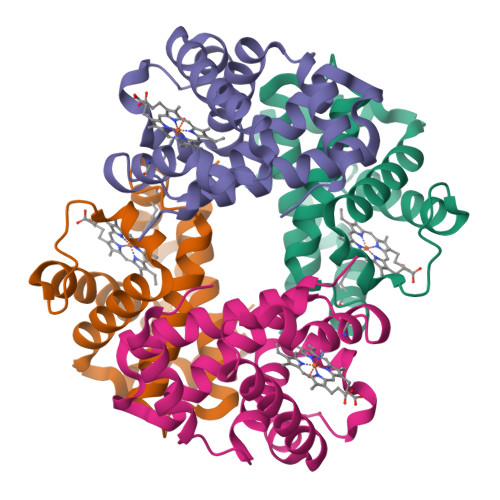 Rcsb Pdb Dy High Resolution Crystal Structure Of Hemoglobin M Iwate