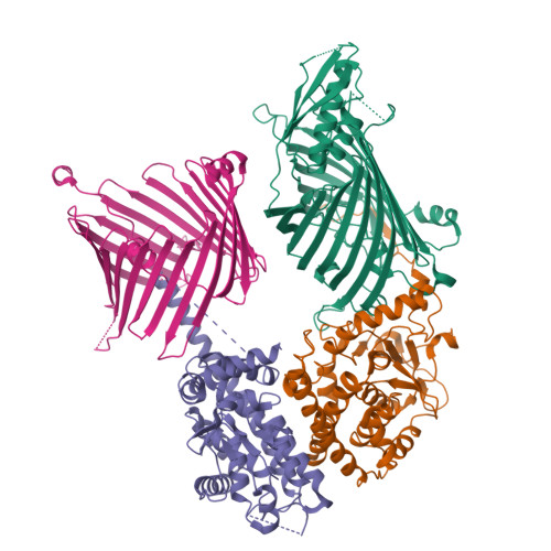 RCSB PDB 7E4H Cryo EM Structure Of The Yeast Mitochondrial SAM Tom40