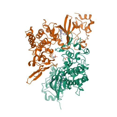 RCSB PDB 7EJV The Co Crystal Structure Of DYRK2 With YK 2 69