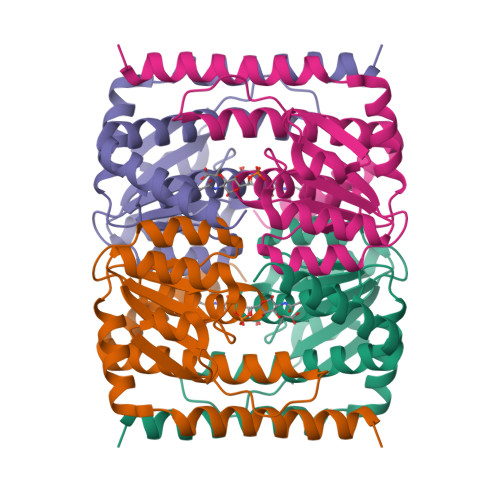 Rcsb Pdb En The Crystal Structure Of Escherichia Coli Murr In