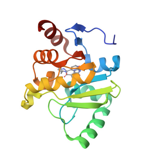 RCSB PDB 7FR0 PanDDA Analysis Group Deposition Crystal Structure