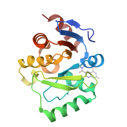 RCSB PDB 7FR7 PanDDA Analysis Group Deposition Crystal Structure