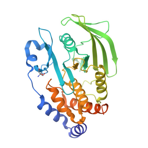 Rcsb Pdb Frt Pandda Analysis Group Deposition Of Ground State Model