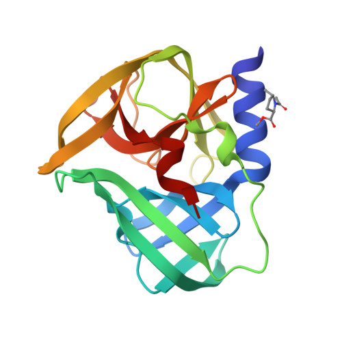 Rcsb Pdb Gpp Pandda Analysis Group Deposition Crystal Structure