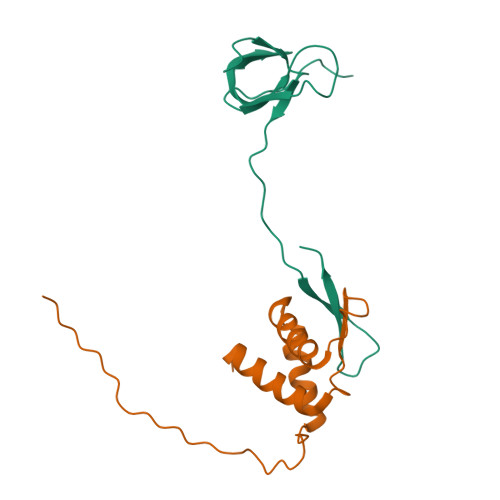 RCSB PDB 7JYZ Solution NMR Structure And Dynamics Of Human Brd3 ET