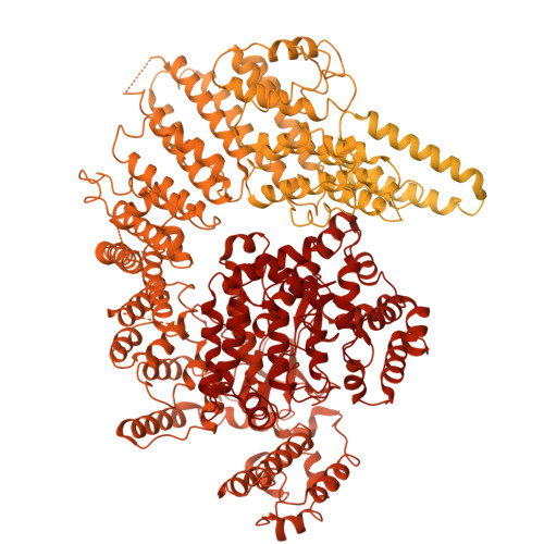 RCSB PDB 7K10 CryoEM Structure Of Activated Form FATKIN Domain Of DNA PK