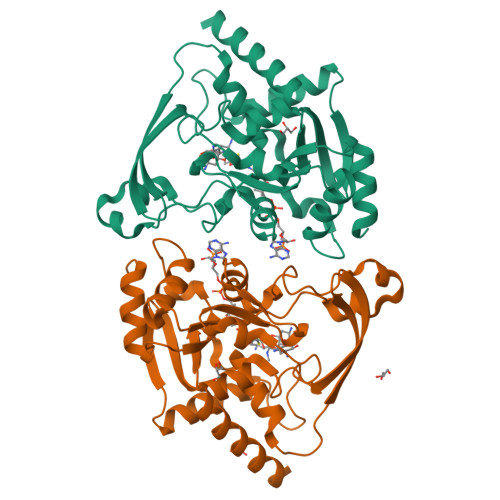 RCSB PDB 7KES Crystal Structure Of Meta AAC0038 An Environmental