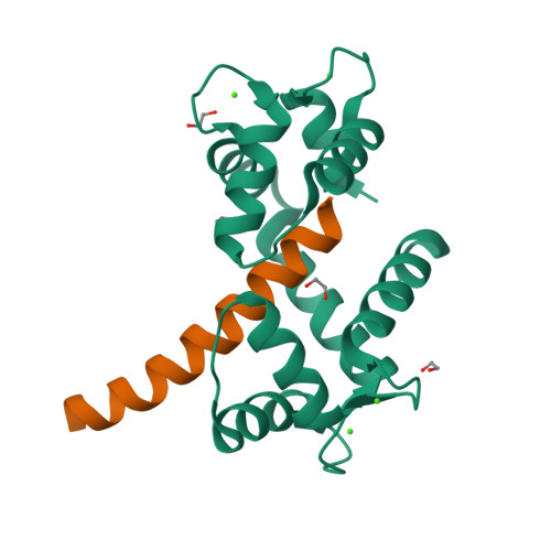 Rcsb Pdb Kl Structure Of Calmodulin Bound To The Cardiac Ryanodine