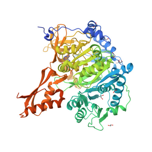 Rcsb Pdb Kq Crystal Structure Of Acetyl Coenzyme A Synthetase From