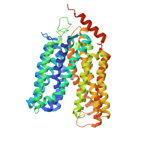 Rcsb Pdb L Crystal Structure Of Sugar Bound Melibiose Permease Melb