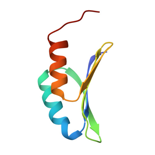 RCSB PDB 7LDF High Resolution NMR Solution Structure Of A De Novo