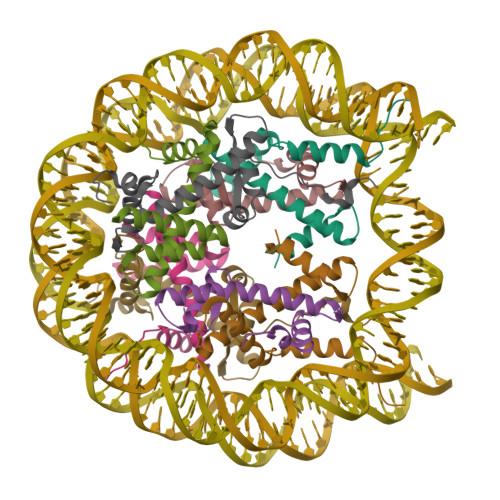 RCSB PDB 7LYA Cryo EM Structure Of The Human Nucleosome Core