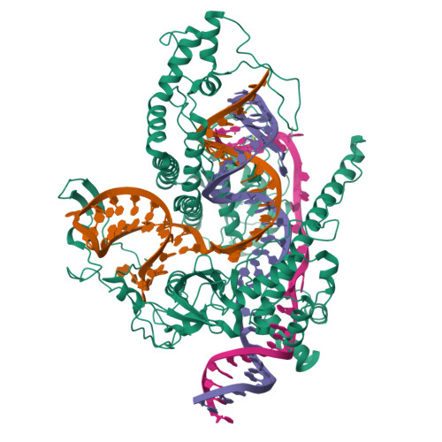 Rcsb Pdb Lyt Cryo Em Structure Of Casphi Cas J Bound To Crrna