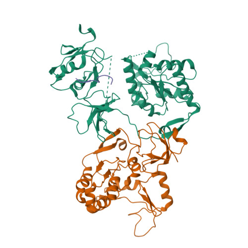 RCSB PDB 7M4R Structural Basis For SARS CoV 2 Envelope Protein In