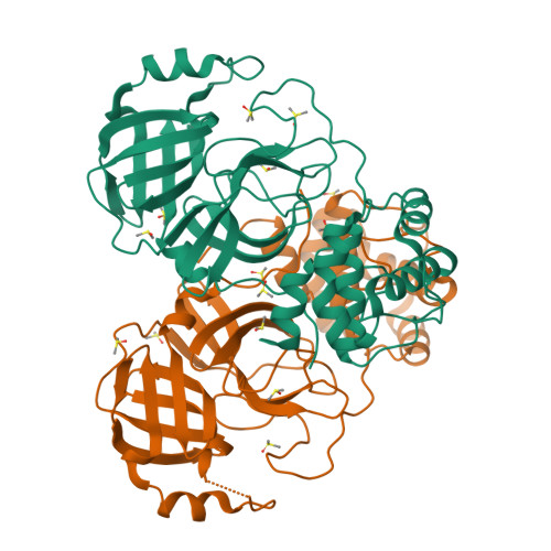 Rcsb Pdb Mbg Sars Cov Main Protease In Orthorhombic Space Group