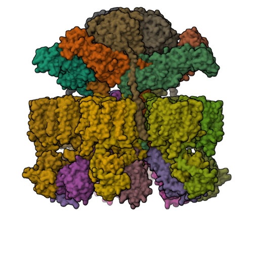 RCSB PDB 7NPR Structure Of An Intact ESX 5 Inner Membrane Complex