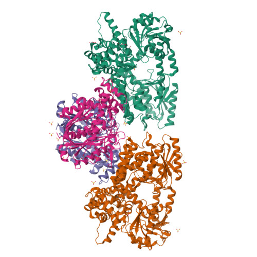 RCSB PDB 7O1K Structure Of Mycobacterium Tuberculosis Beta Oxidation