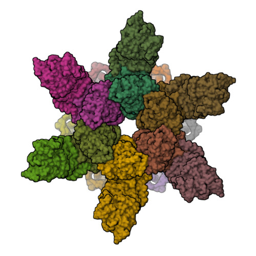 RCSB PDB 7O41 Hexameric Composite Model Of The Inner Membrane