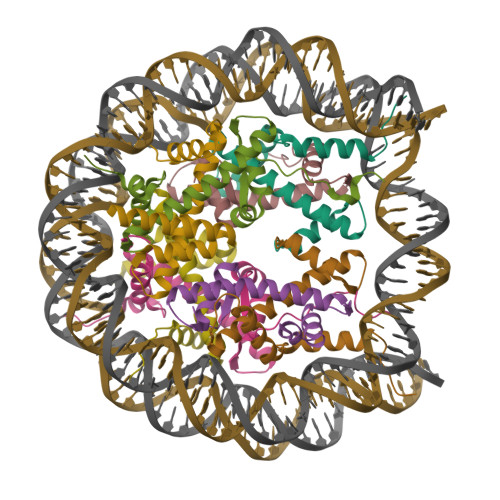 RCSB PDB 7OHC Cryo EM Structure Of Nucleosome Core Particle Composed