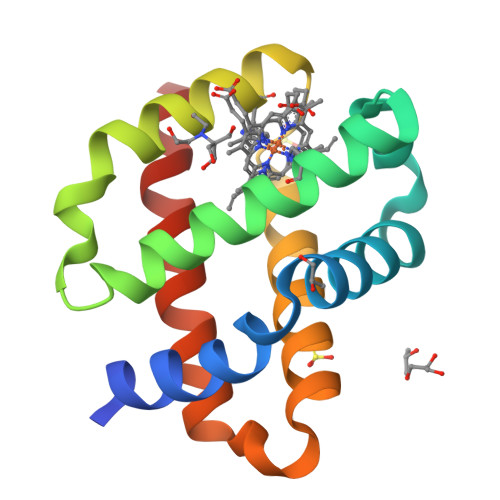 Rcsb Pdb Ohd Crystal Structure Of Ferric Murine Neuroglobin Cdless